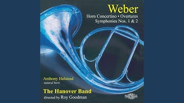 Symphony No. 2 in C Major, J. 51: III. Menuetto. Allegro