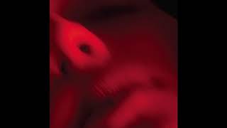 Plants Army Revolver - Borneo Memories [AVN036]