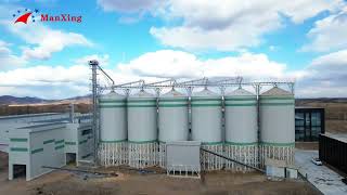 Insulated Rice Steel Silos in Operation | Climate-Adapted Grain Storage Solutions by MANXING