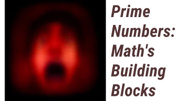 Prime Numbers: The Building Blocks of Math!