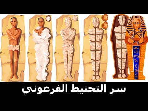 سر عملية التحنيط لدى الفراعنة