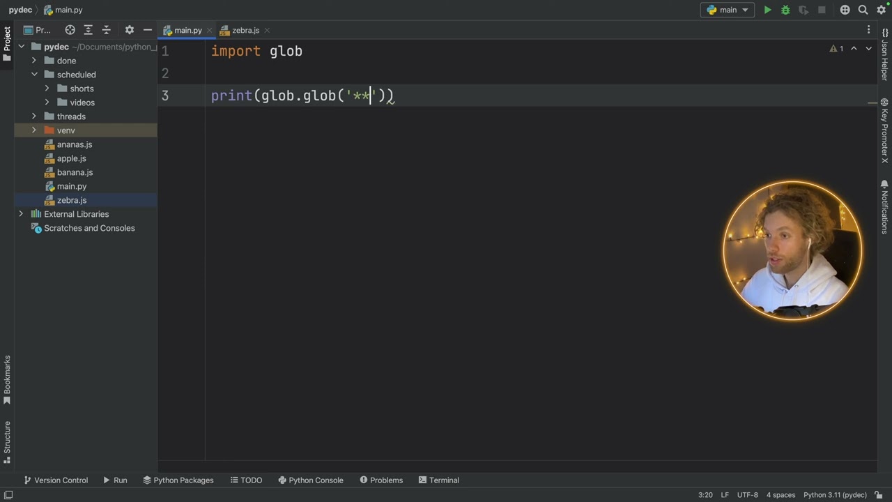 WHAT Is ＂Glob＂ In Python？! It's Actually Very Useful! tATFQUx0Zx0 done