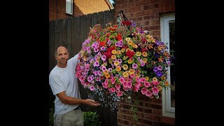 How We Make Hanging Baskets On The Nursery