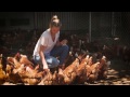 Rachel Wilson: an Australian free-range egg farmer