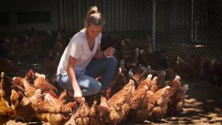 Rachel Wilson: an Australian free-range egg farmer