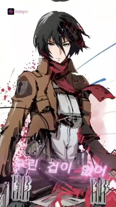 AOT Mikasa