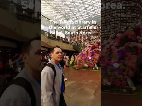 The Tallest Library