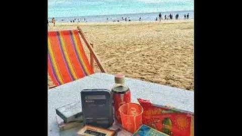 แพ้ - ป้าง นครินทร์ กิ่งศักดิ์ Cover By Bomb White Society