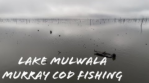 Lake Mulwala Murray Cod Fishing ( More videos with tips and tricks coming soon! )