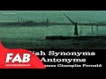 English Synonyms and Antonyms Part 1/2 Full Audiobook by James Champlin FERNALD by Non-fiction