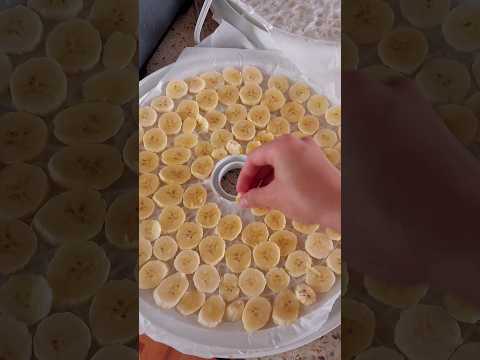 filling up the dehydrator satisfying asmr healthy food ourrealisticdays