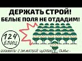 ДЕРЖАТЬ СТРОЙ! Белые поля не отдадим!! Шахматы обучение в игре