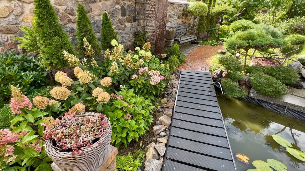 СОСКУЧИЛИСЬ ПО СТРИЖКАМ? СЕГОДНЯ ДВЕ!БЫСТРОРАСТУЩИЕ: ИВА “HAKURO NISHIKI” И КЛЕН “EMERALD LACE”!✂️🌳🍁