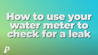 Celebrity How to Check for Water Leaks Using Your Water Meter Net Worth