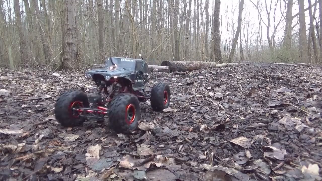 a february morning in the forest