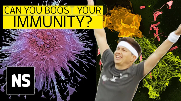 The immune system: How to boost your immunity to infection | Science with Sam