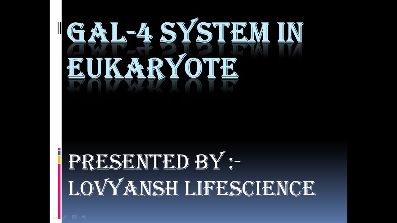 GAL-4 SYSTEM IN EUKARYOTES (YEAST ) & TRANSCRIPTION ACTIVATION