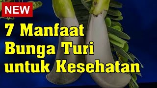 7 Manfaat Bunga Turi untuk Kesehatan