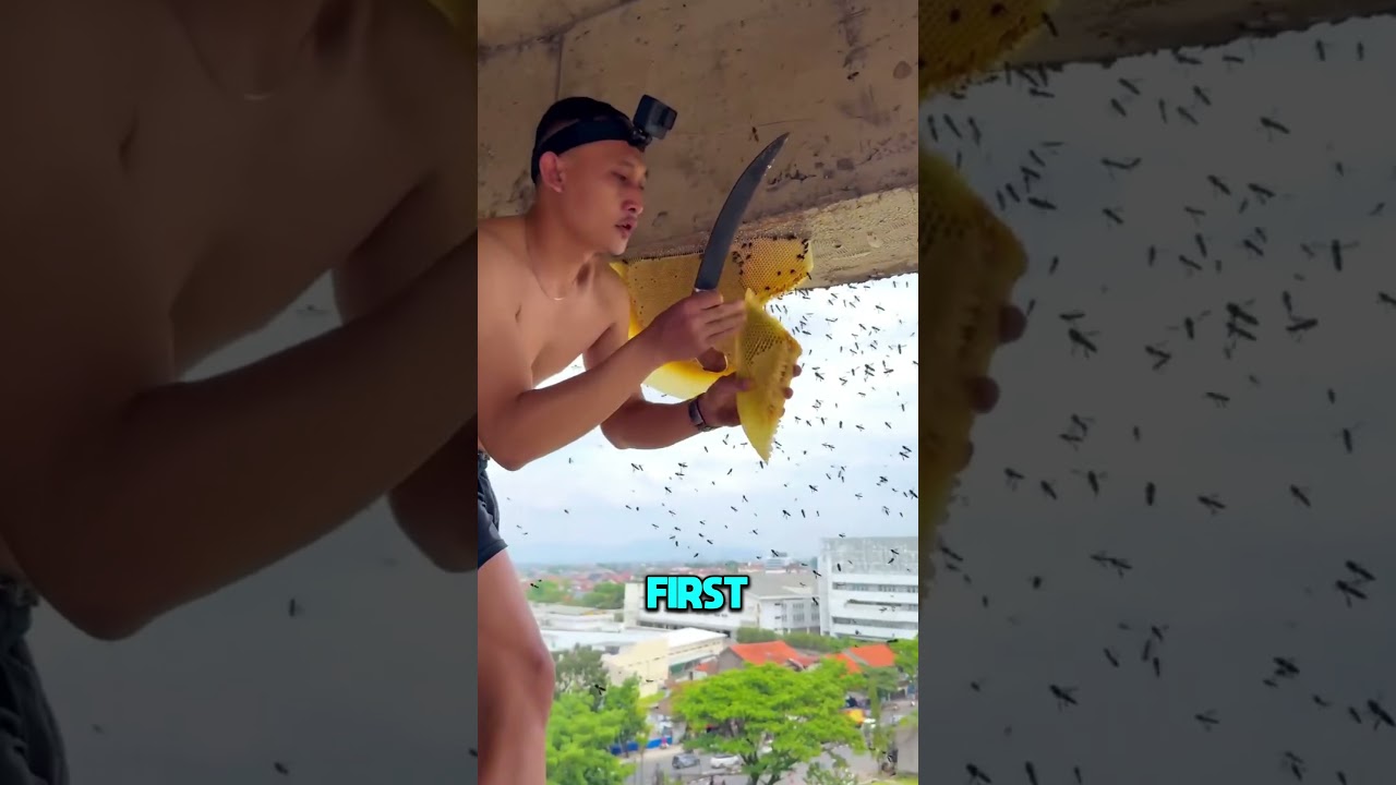 Why Bees Don’t Bite This Man? 🐝