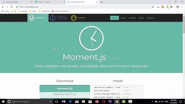 18 Vue JS Filter and Moment JS