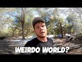 The end of weirdo world