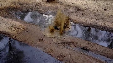 Crash and Drown a HPI Savage Flux RC Truck over and over