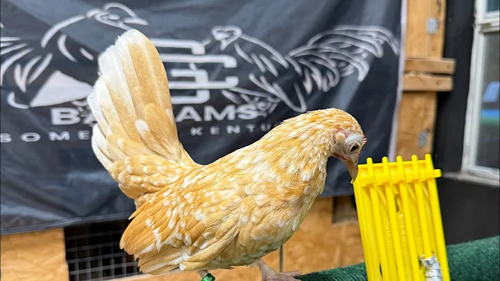 “We often take for granted the very things that most deserve our gratitude”. EP 73.