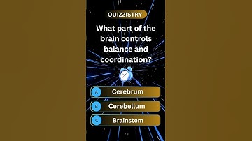 Quizzistry Quiz Challenge || What part of the brain controls balance and coordination?
