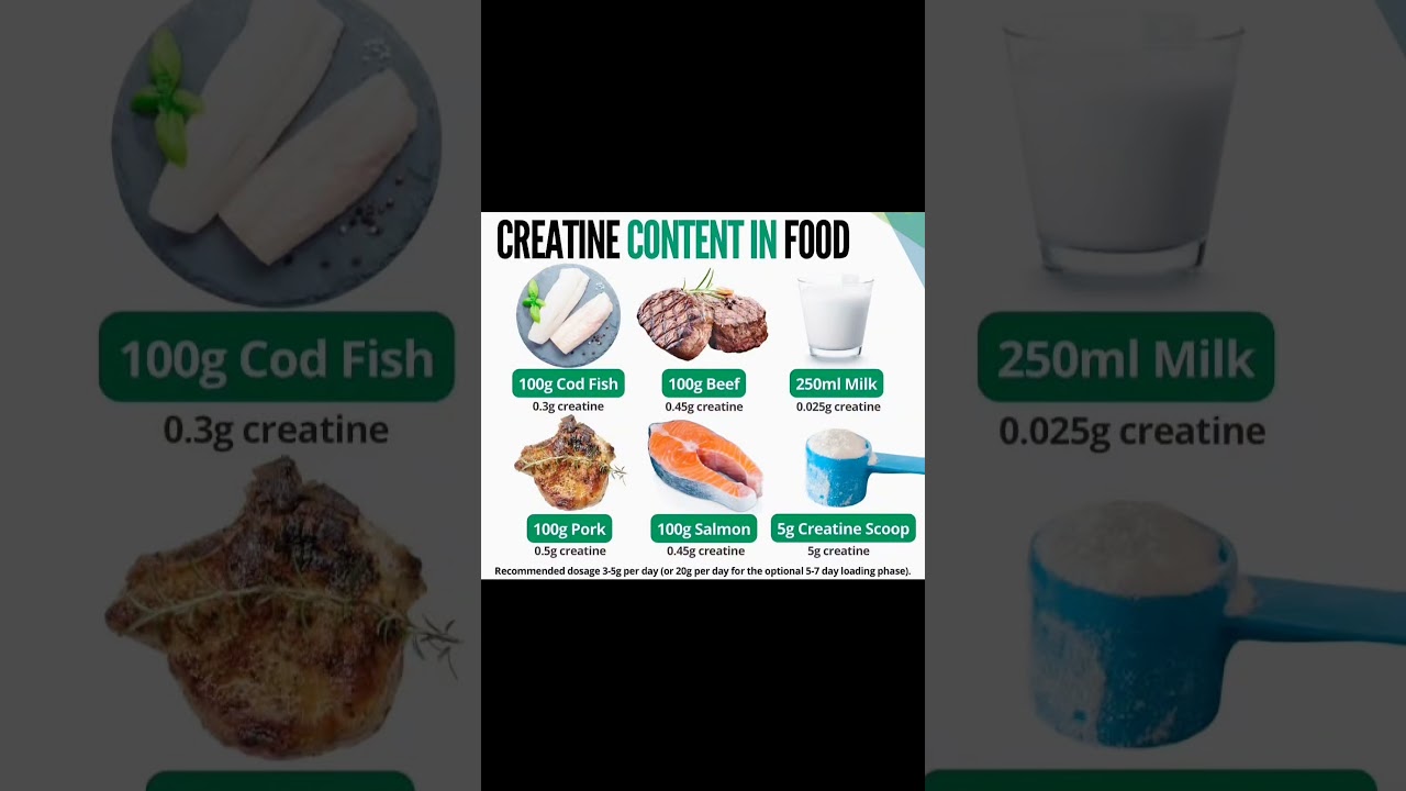 best creatine content food