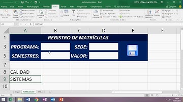 Macros con Formulario, función lógica, validación de datos