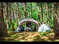 Relaxing Car Camping surrounded by Trees | ASMR