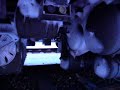 Achtergrond film defecte NS Intercity treinen