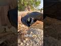 #india #funny #subscribe #viral #video #viralvideo #subscribe