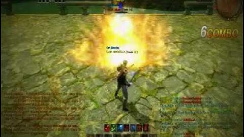 C9 PvP Scout VS Elementalist