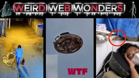 weird web wonders 52