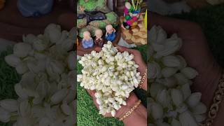 10நாள் ஆனாலும் வாடாது🤩Tips to store Jasmine flower in fridge for long time #mallipoo store in fridge