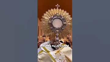 Receba A Paz De Nosso Senhor Jesus 