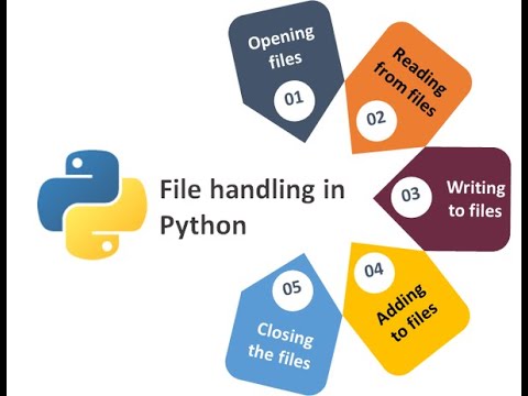 File Handling in Python | Beginners
