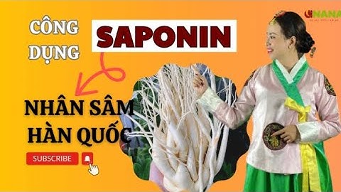 Bạn đã biết công dụng Saponin của nhân sâm Hàn Quốc chưa? - Thi Đặng - ANaNa Nhân Sâm Korea