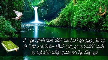 ترتيل لا مثيل له من سورة ابراهيم - الشيخ هاني سكر