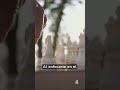 🧘♂️♟️ Ajedrez: Reducción del Estrés y Relajación