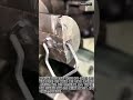 와이어 벤딩 머신의 금속 부품 제조 원리 #craft #machine #engineering #manufacturing #cnc