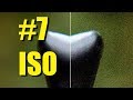 7# - ISO - understanding camera sensitivity - Photography basics for beginners