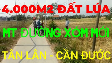 (Ms 126♥️Đã Bán) 4.000m2 Đất Lúa Mặt Tiền Đường Xóm Mới Tân Lân, Cần Đước, Long An | Bđs Long An