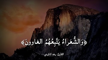 قرآن كريم بصوت القارئ: رعد الكردي || أجمل حالات واتس اب دينيه || تلاوة خاشعة 🌿