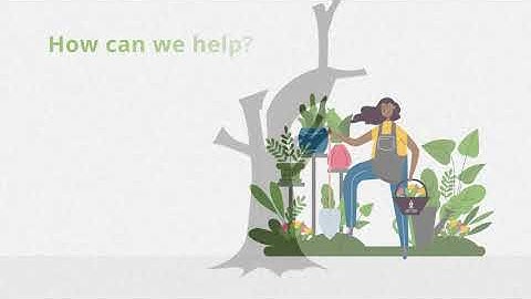 International Year of Plant Health: The Polyphagous Shothole Borer’s effect on South Africa