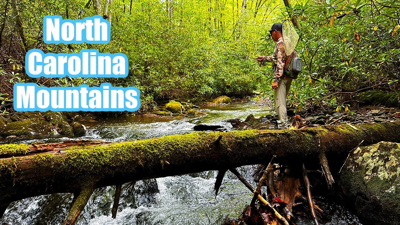 Dry Flies for Wild Mountain Brook Trout YouTube