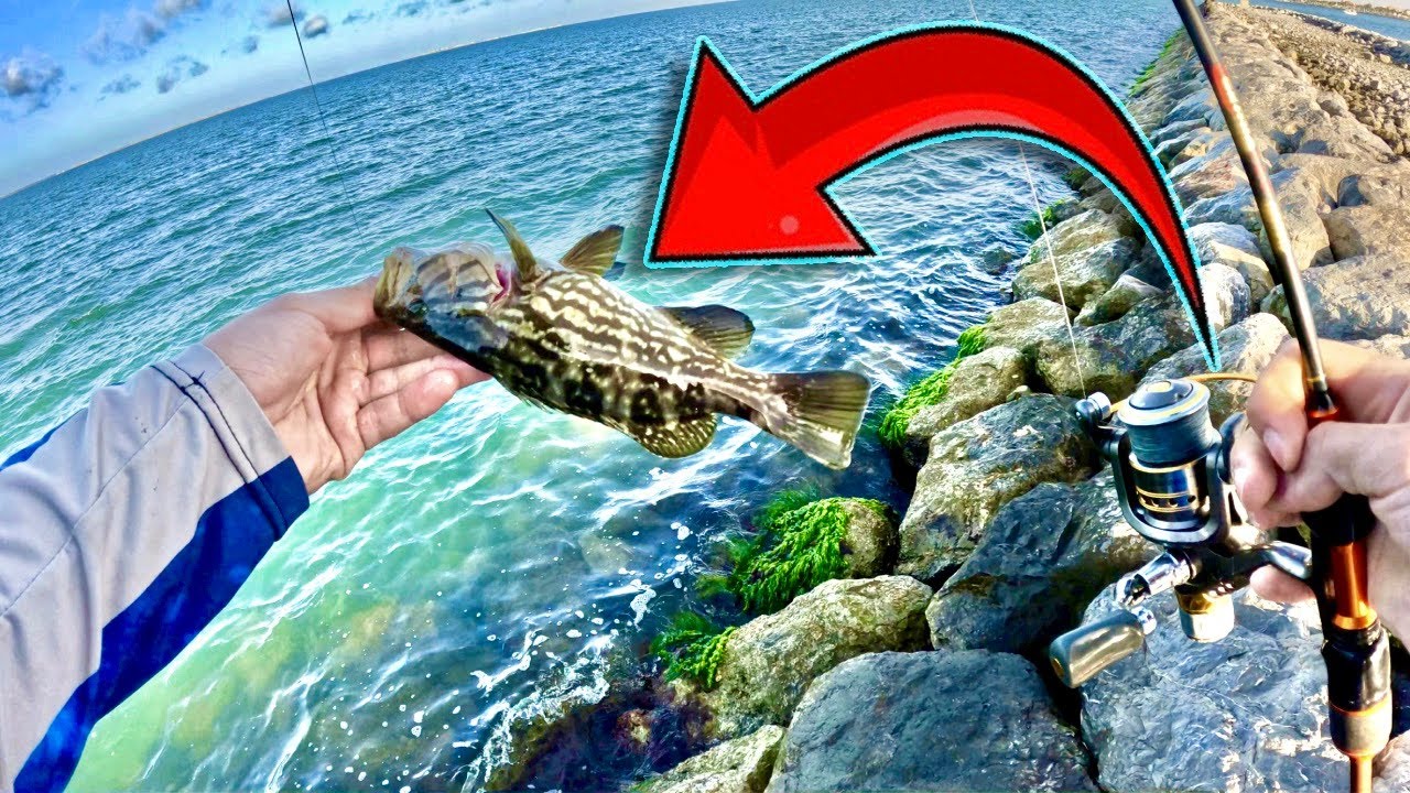 أجي نصيدو🎣 في مدينة الناظور بحيرة مرتشيكا🤩