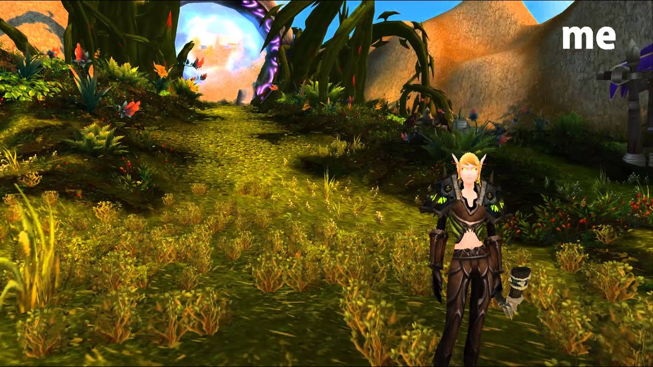 Normal Players vs. Myself (WoW machinima)