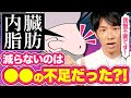 何をやっても内臓脂肪が減らない原因は●●不足！内臓脂肪を消す栄養素と食べ物を解説【管理栄養士が解説】